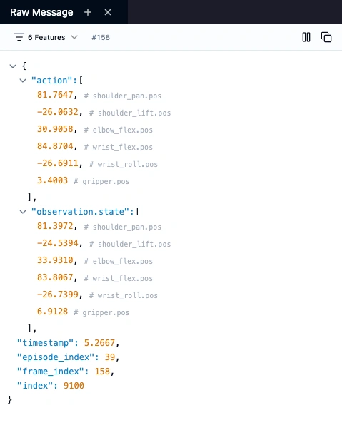 Raw JSON panel