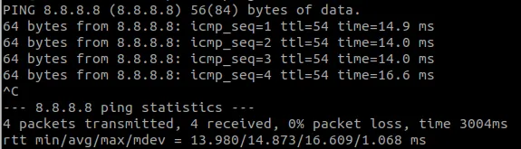 ping test