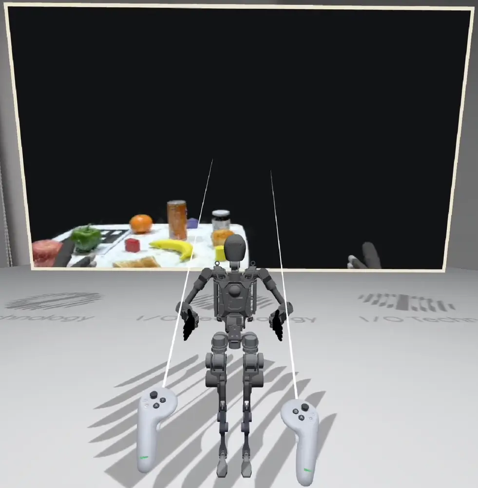 Center VR view